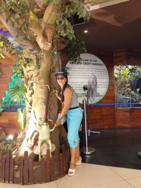 Thai women for dating / Thai ladies for dating