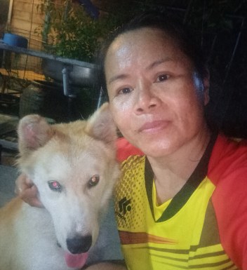 Thai women for dating / Thai ladies for dating