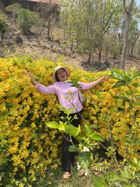 Thai women for dating / Thai ladies for dating