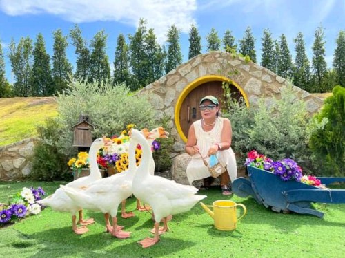 <span>Kang, 59</span>&nbsp;<span style='width: 25px; height: 16px; float: right; background-image: url(/bitmaps/flags_small/TH.PNG)'>&nbsp;</span><br><span>Bangkok Yai, Thailand</span>&nbsp;<input type='button' class='joinbtn' style='float: right' value='JOIN NOW' />